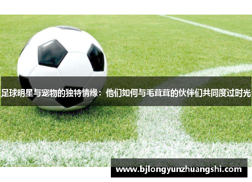 足球明星与宠物的独特情缘：他们如何与毛茸茸的伙伴们共同度过时光