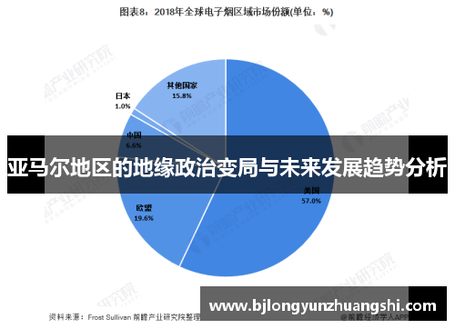 亚马尔地区的地缘政治变局与未来发展趋势分析