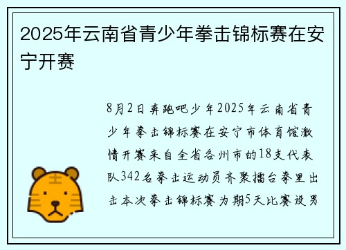 2025年云南省青少年拳击锦标赛在安宁开赛